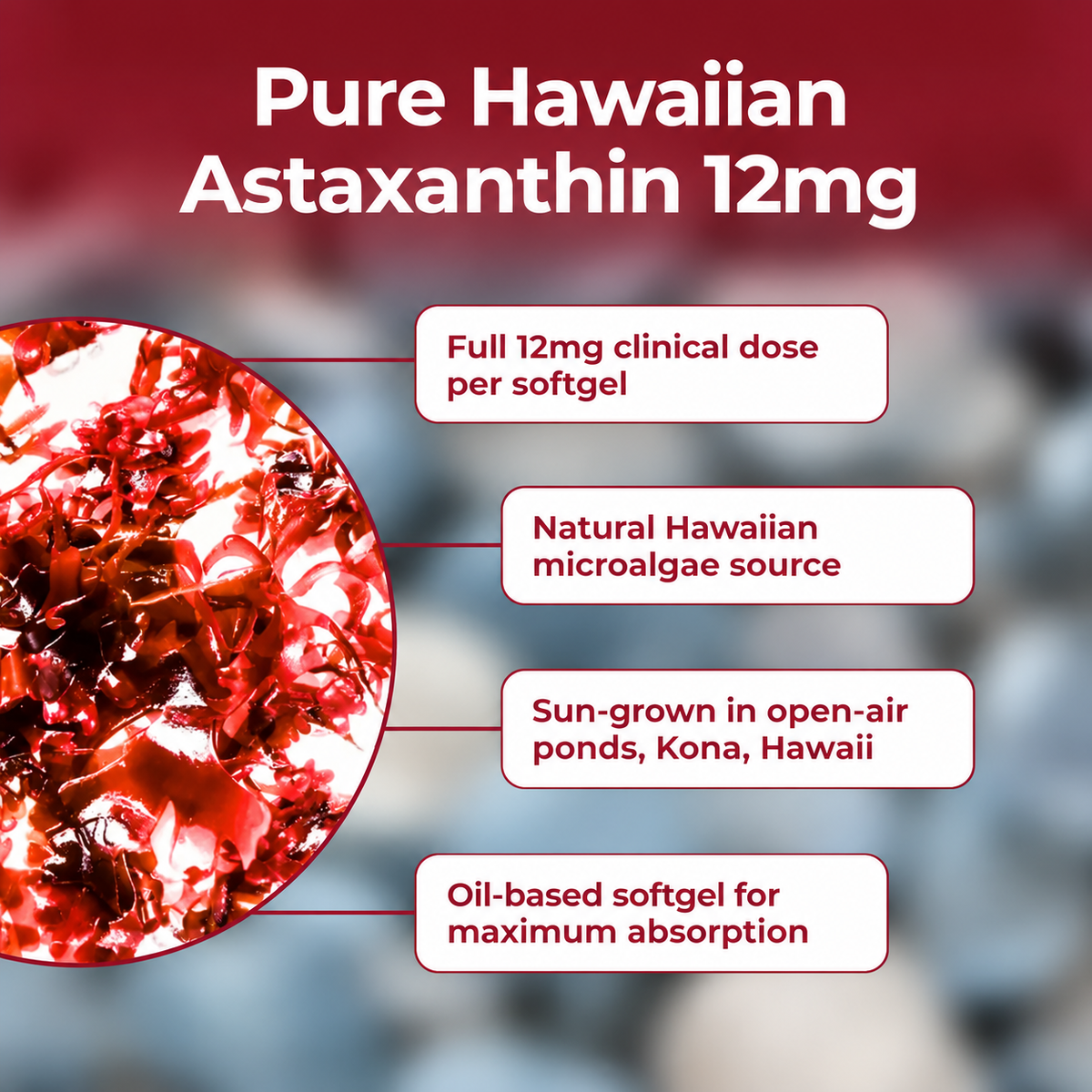 Randoria Astaxanthin 12mg Softgel Supplement